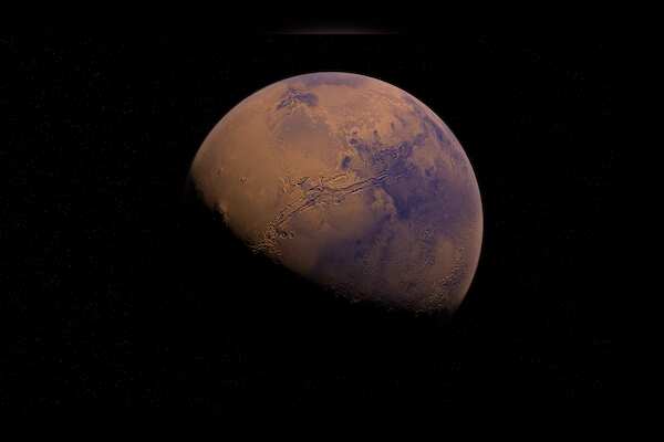 Survival of Earthly Bacteria on Mars: Implications for Future Exploration